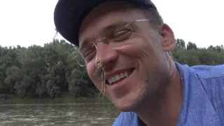 Kráľovstvo divočiny: Podenka dlhochvostá, Maďarsko