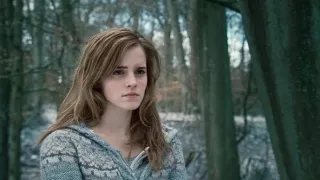 Harry Potter és a Halál ereklyéi 1. rész