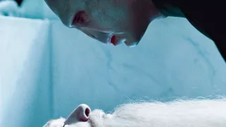 Harry Potter és a Halál ereklyéi 1. rész