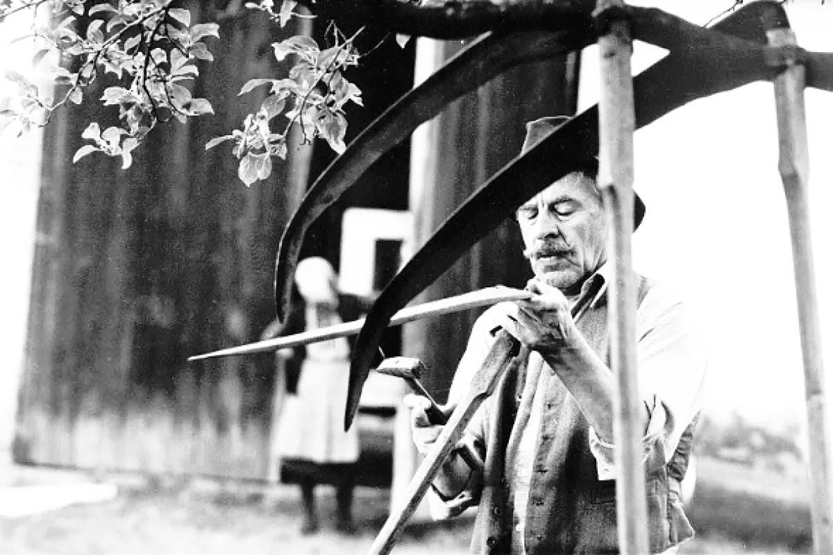Kosenie Jastrabej lúky, 1981 - fotogaléria