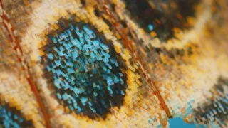 Pestrobarevný svět