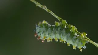 Pestrobarevný svět