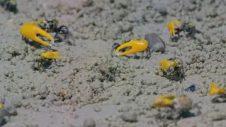 Pestrobarevný svět