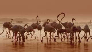 Pestrobarevný svět