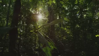 Pestrobarevný svět