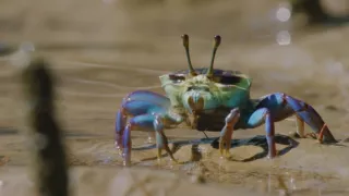 Pestrobarevný svět