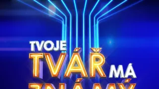Tvoje tvář má známý hlas IX (6)