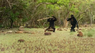 Zázračná planéta: Dynastie (1/5)