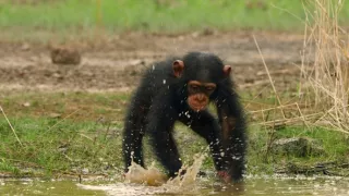 Zázračná planéta: Dynastie (1/5)