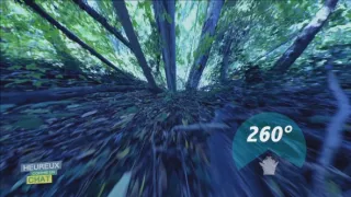 Šťastný ako mačka