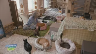 Šťastný ako mačka