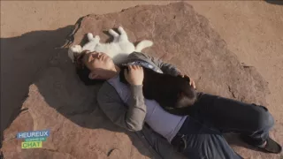 Šťastný ako mačka