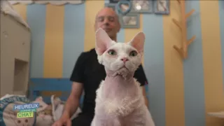 Šťastný ako mačka