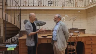 Šťastný ako mačka