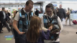 Šťastný ako mačka