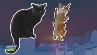 Šťastný ako mačka