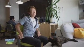 Šťastný ako mačka