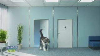 Šťastný ako mačka