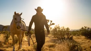 Bruce Springsteen: Western Stars