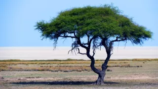 Namíbia, nádej a budúcnosť