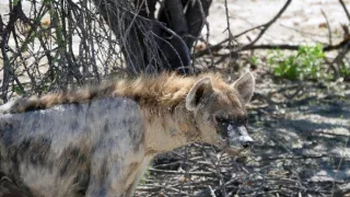 Namíbia, nádej a budúcnosť