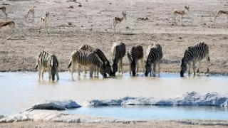 Namíbia, nádej a budúcnosť