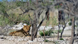 Namíbia, nádej a budúcnosť