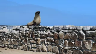 Namíbia, nádej a budúcnosť