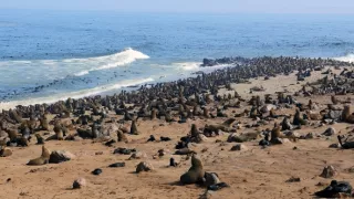 Namíbia, nádej a budúcnosť