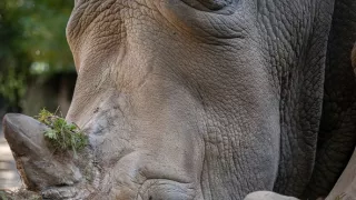 S Jakubem v Africe