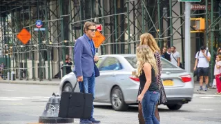 Sny o toulavých kočkách