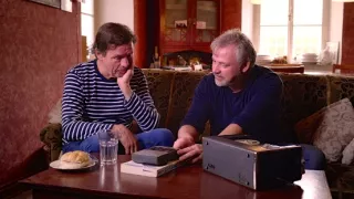 Sny o toulavých kočkách