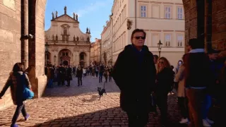 Sny o toulavých kočkách