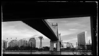 Sny o toulavých kočkách