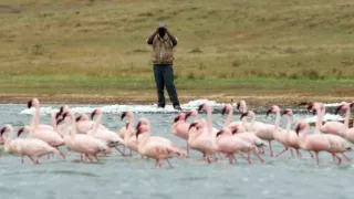 Zázračná planéta: Pozoruhodná planéta Zem (3/4)