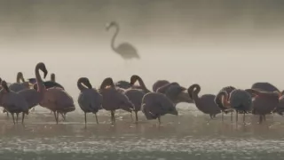 Zázračná planéta: Pozoruhodná planéta Zem (3/4)