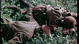 Osloboditelia a vojnové zločiny