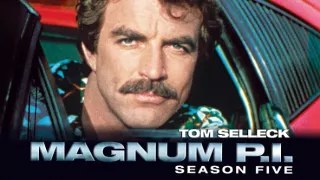 Magnum V