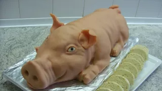 Kuchárska pohotovosť
