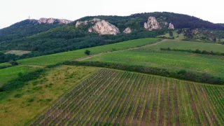 Milovníci vína (9/16)