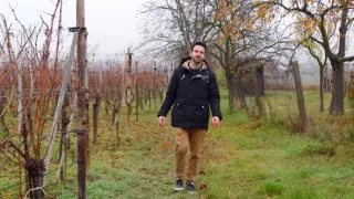 Milovníci vína (9/16)