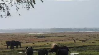 Divočina Afriky okolo riek