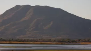 Divočina Afriky okolo riek