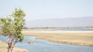 Divočina Afriky okolo riek