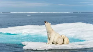 Zmrzlá planeta II (3)