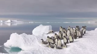 Zmrzlá planeta II (3)