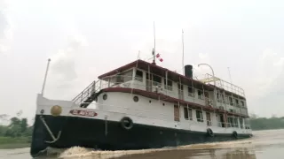 Kráľovstvo divočiny: Delfínovec amazonský, Amazónia