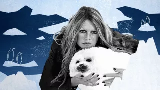 Brigitte Bardotová, rebelka s příčinou