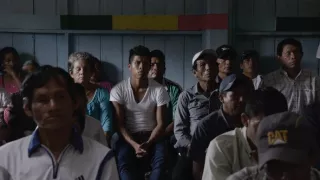 Nezákonná ťažba dreva - škandalózne odhalenie