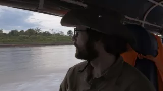 Nezákonná ťažba dreva - škandalózne odhalenie